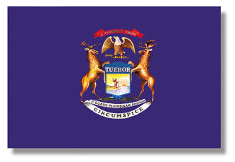 Michigan State University Car Flag - 11x14 Inch Official Team Flag